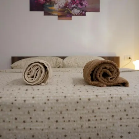 Sobe Jovan Apartment Soko Banja
